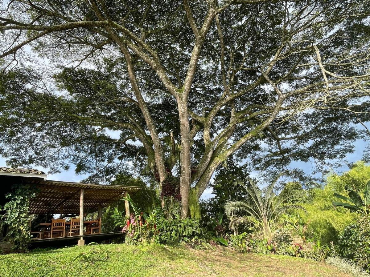 Finca La Holanda Real Quimbaya Esterno foto