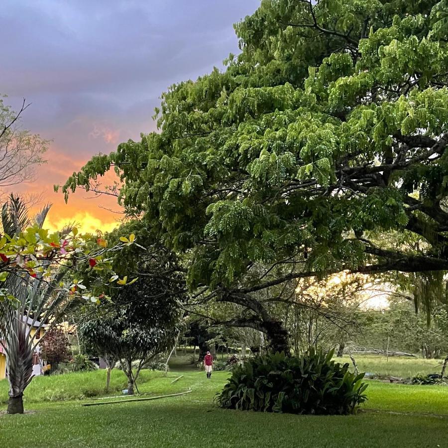 Finca La Holanda Real Quimbaya Esterno foto