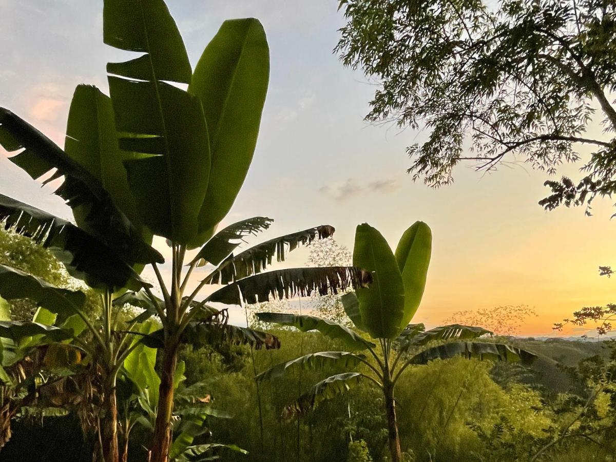 Finca La Holanda Real Quimbaya Esterno foto