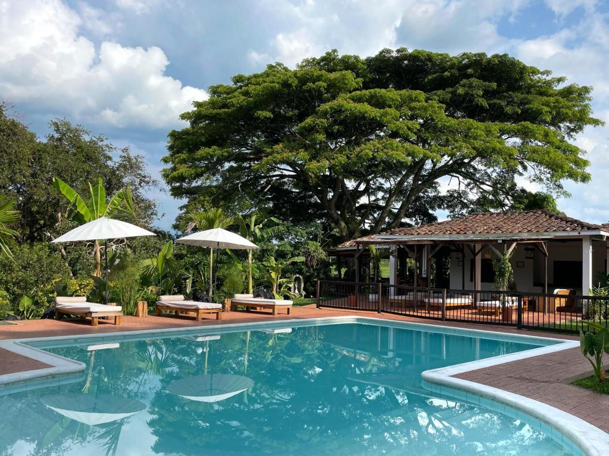 Finca La Holanda Real Quimbaya Esterno foto