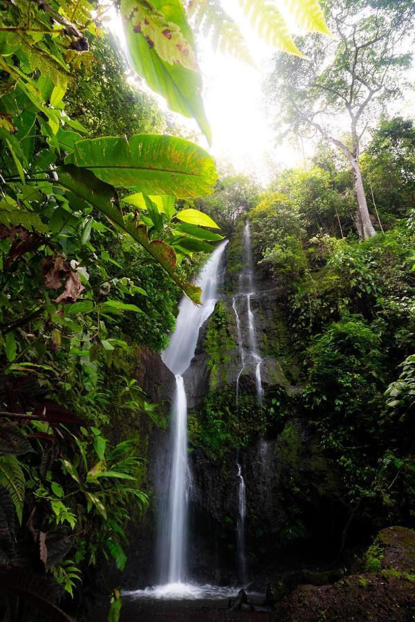 Finca La Holanda Real Quimbaya Esterno foto