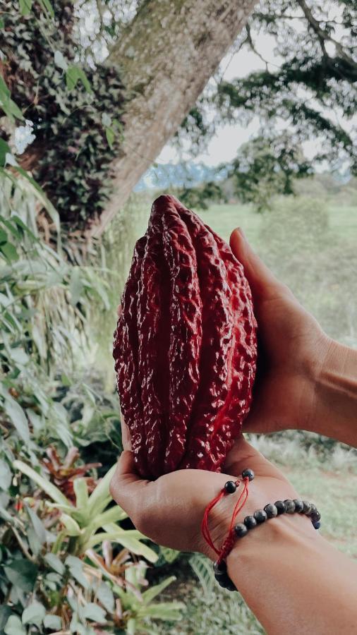Finca La Holanda Real Quimbaya Esterno foto