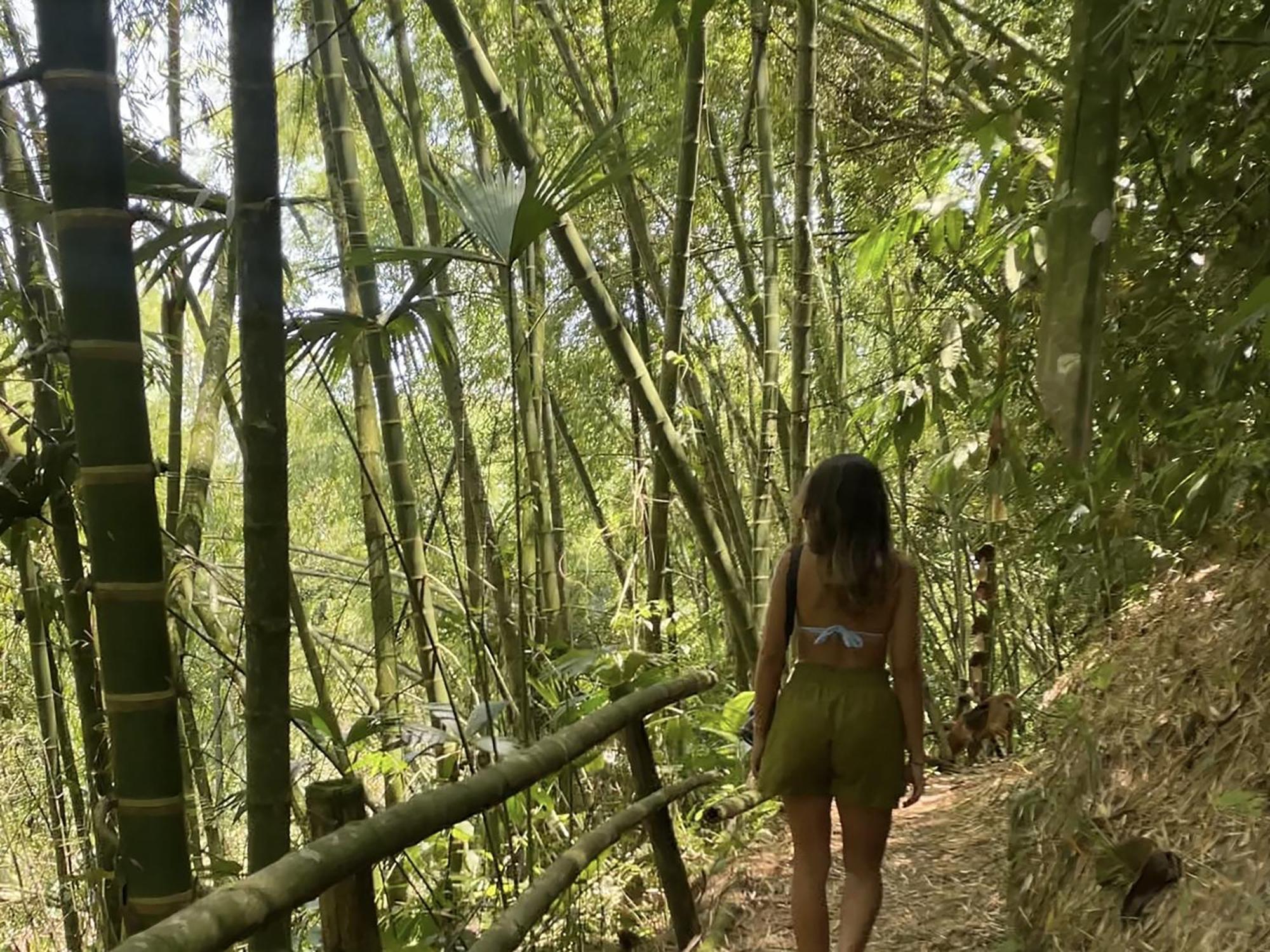 Finca La Holanda Real Quimbaya Esterno foto