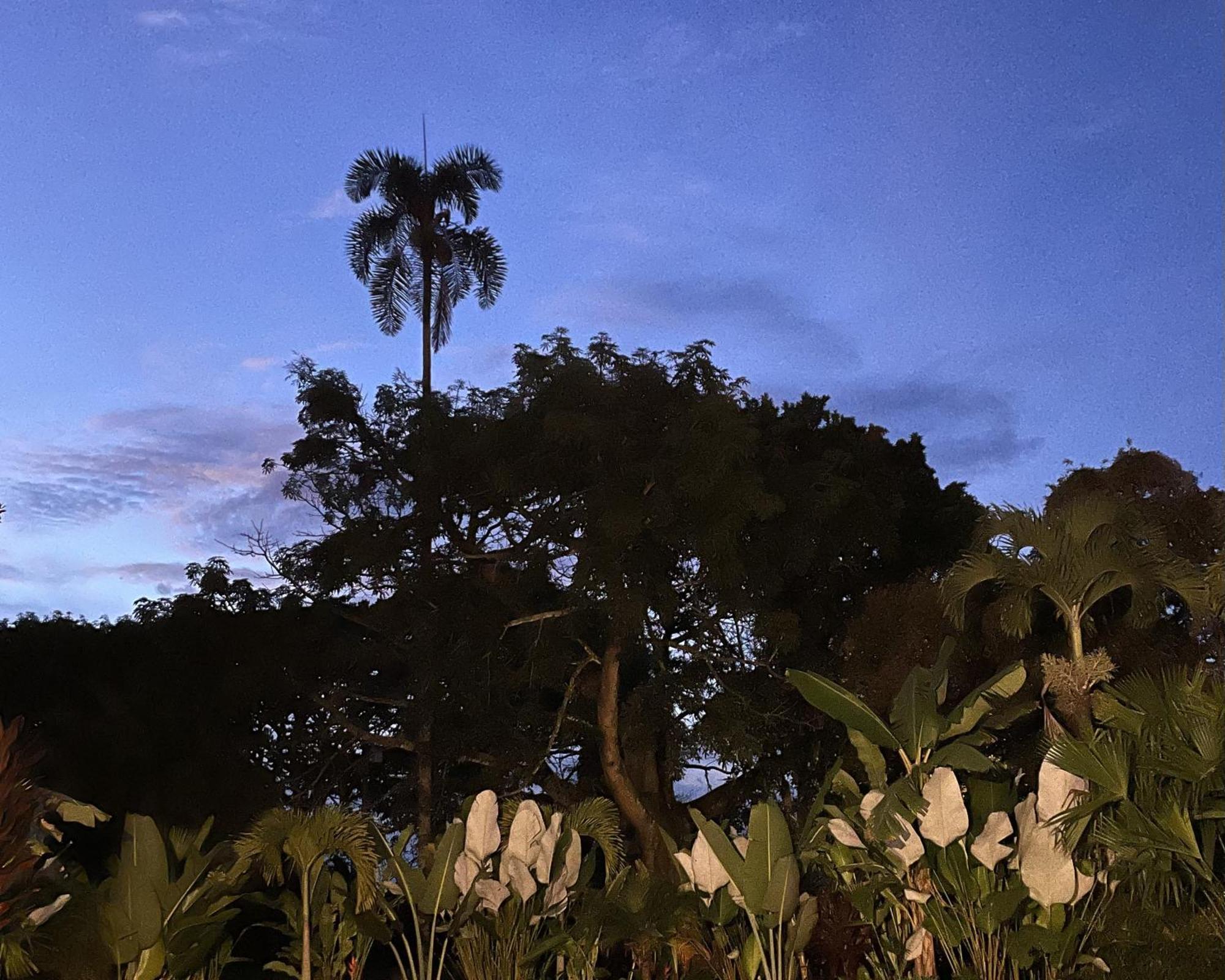 Finca La Holanda Real Quimbaya Esterno foto