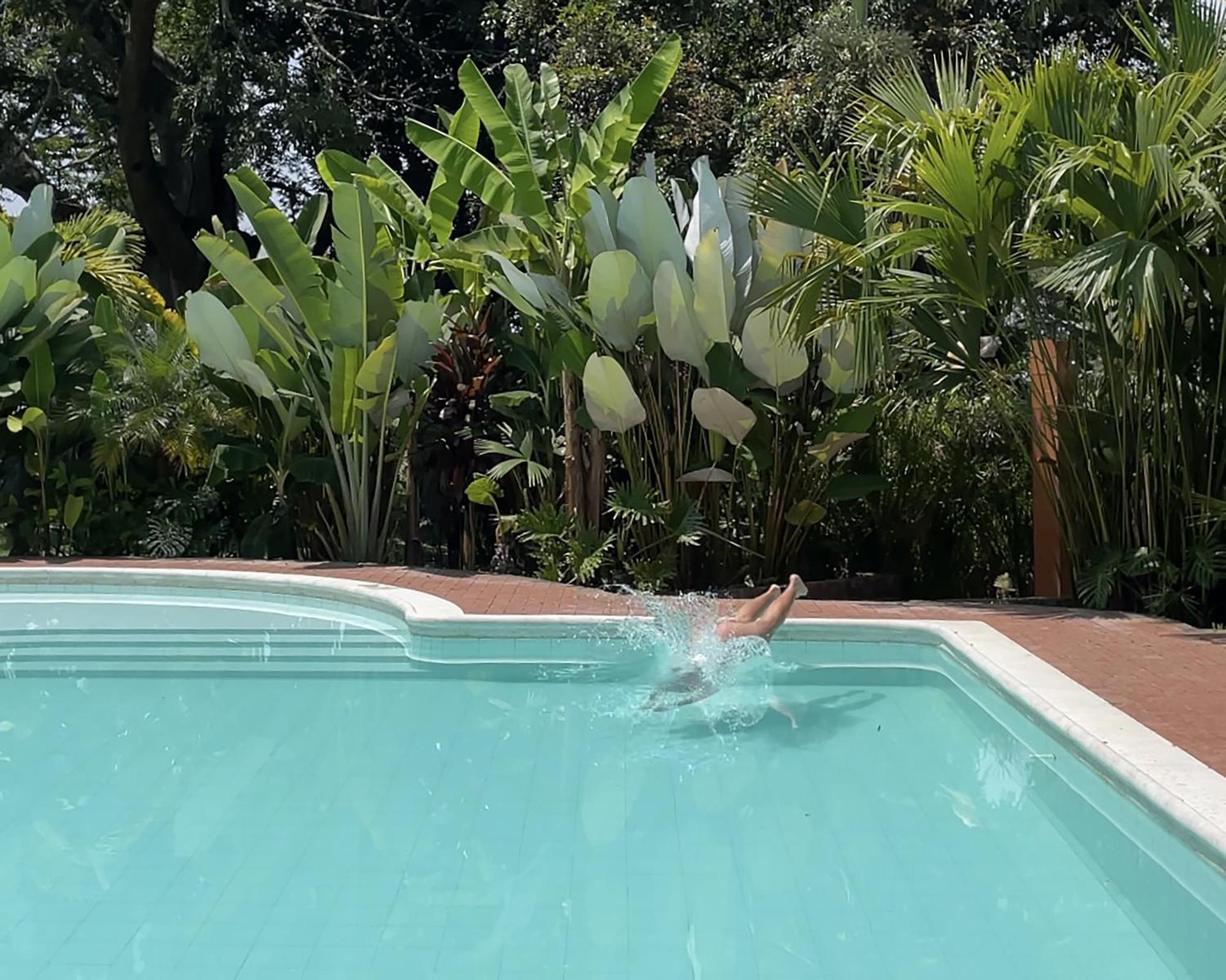 Finca La Holanda Real Quimbaya Esterno foto