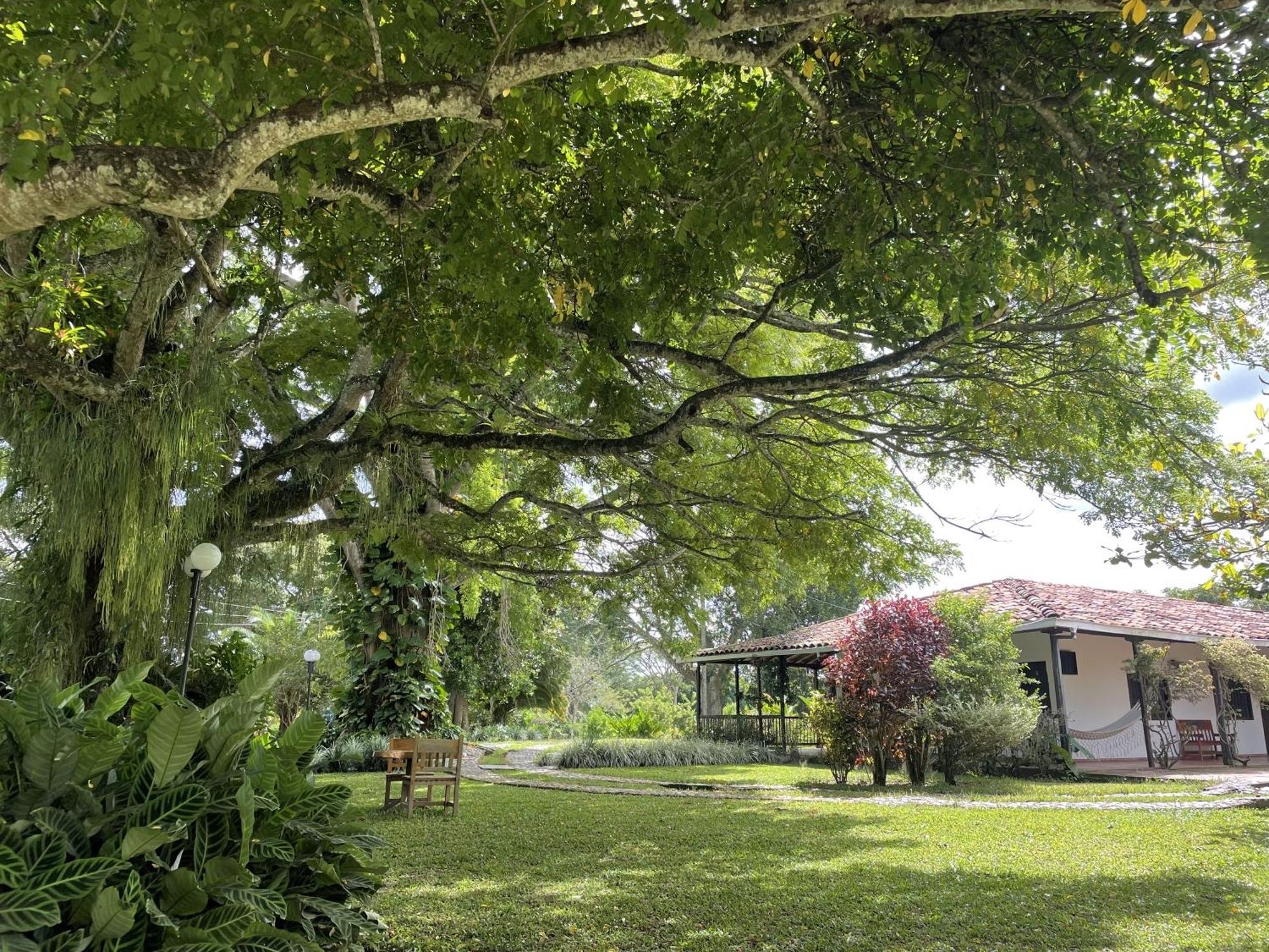 Finca La Holanda Real Quimbaya Esterno foto