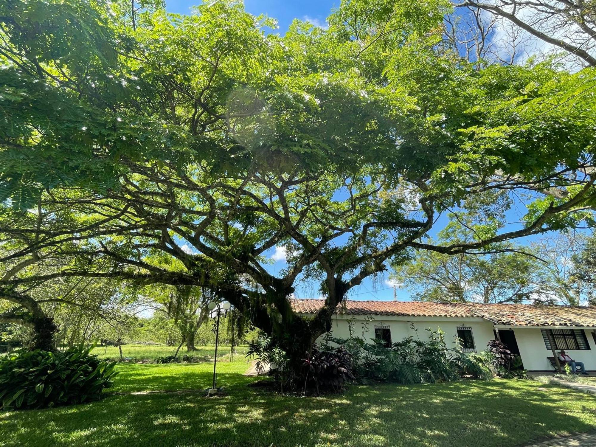 Finca La Holanda Real Quimbaya Esterno foto
